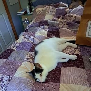 Meet your Posher, Kate